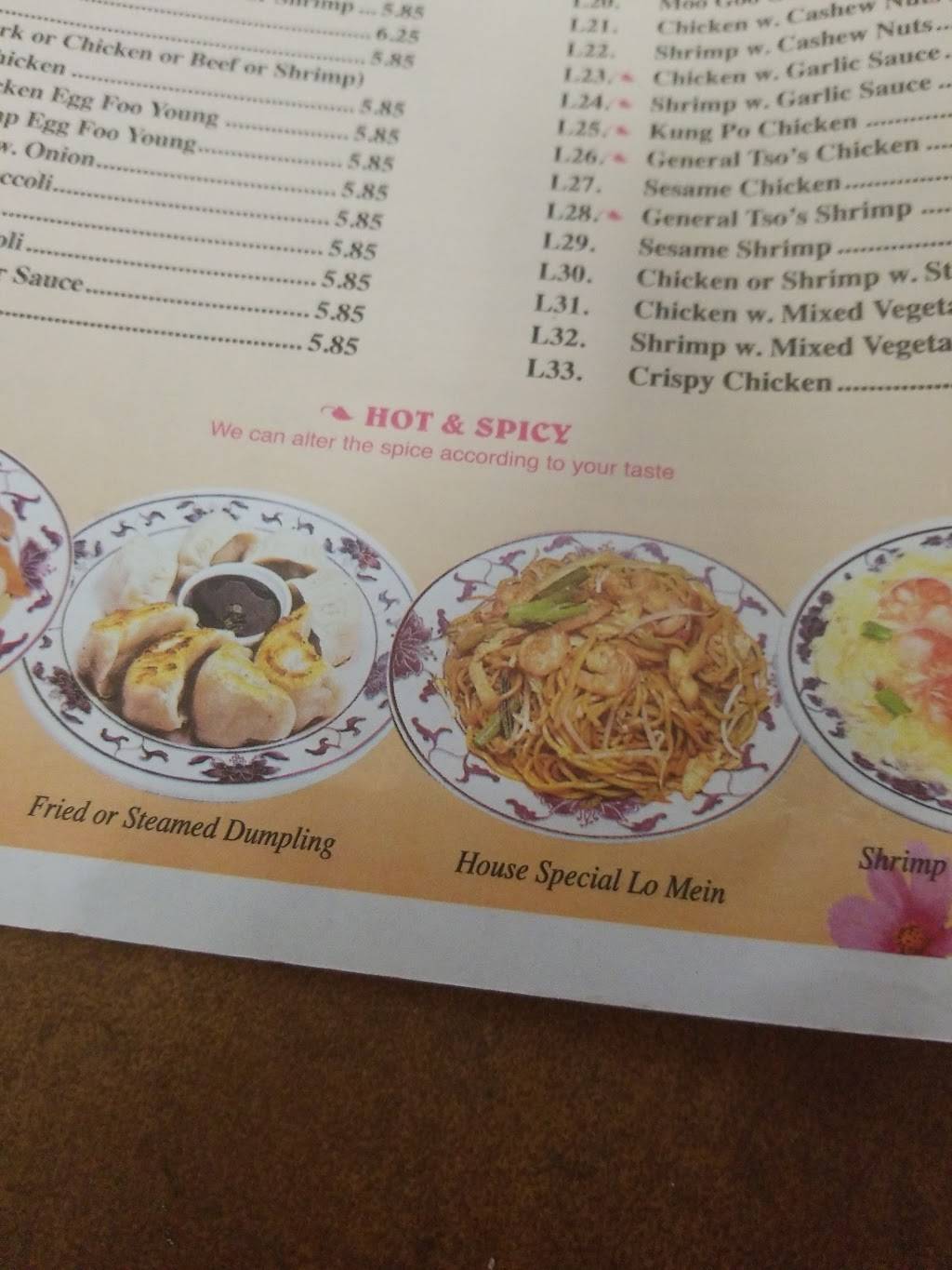 Welcome Chinese Restaurant | restaurant | 163 W Broadway, Salem, NJ 08079, USA | 8569351137 OR +1 856-935-1137