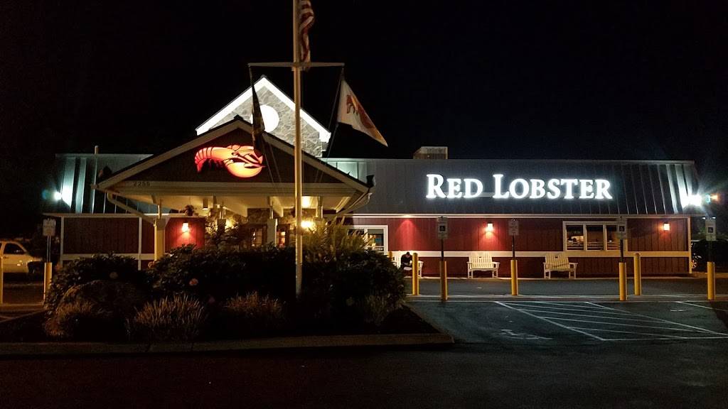 Red Lobster | restaurant | 2255 South Rd, Poughkeepsie, NY 12601, USA | 8454624301 OR +1 845-462-4301