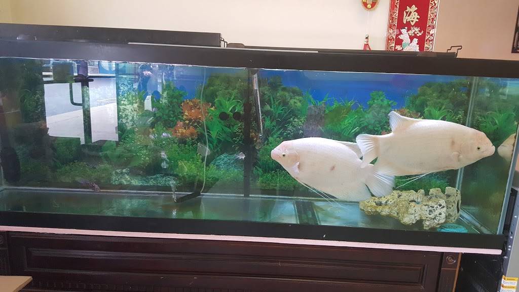 Panda Garden | restaurant | 6600 Dixie Hwy, Fairfield, OH 45014, USA | 5138700068 OR +1 513-870-0068