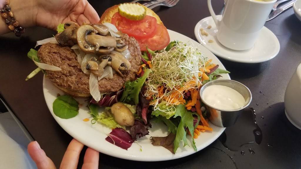 Morning Glory Farm Fresh Cafe | restaurant | 1377 Forest Park Cir #101, Lafayette, CO 80026, USA | 3036046351 OR +1 303-604-6351