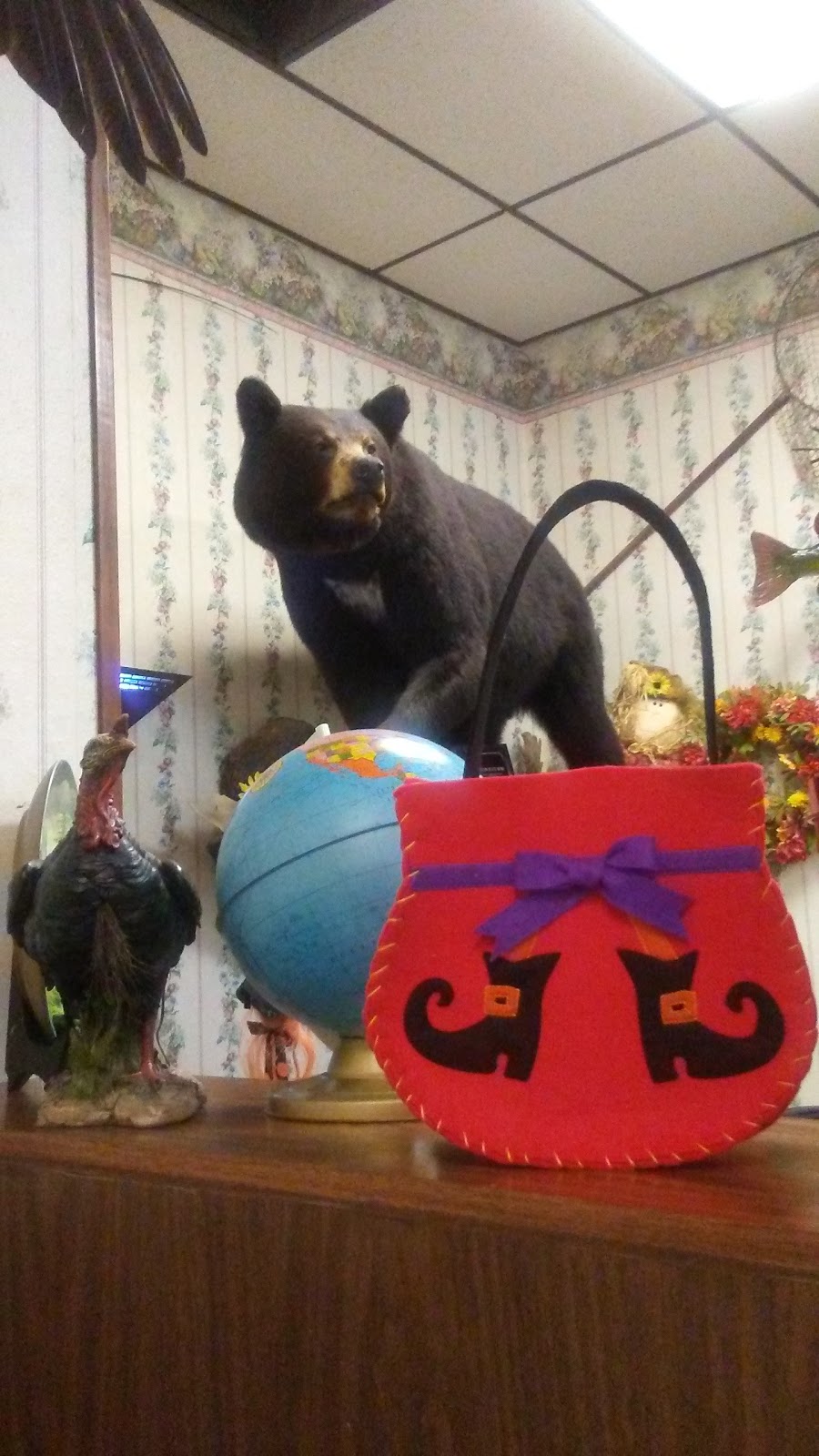 Greenwood Cafe | cafe | 906 Superior Ave, Tomah, WI 54660, USA | 6083724181 OR +1 608-372-4181