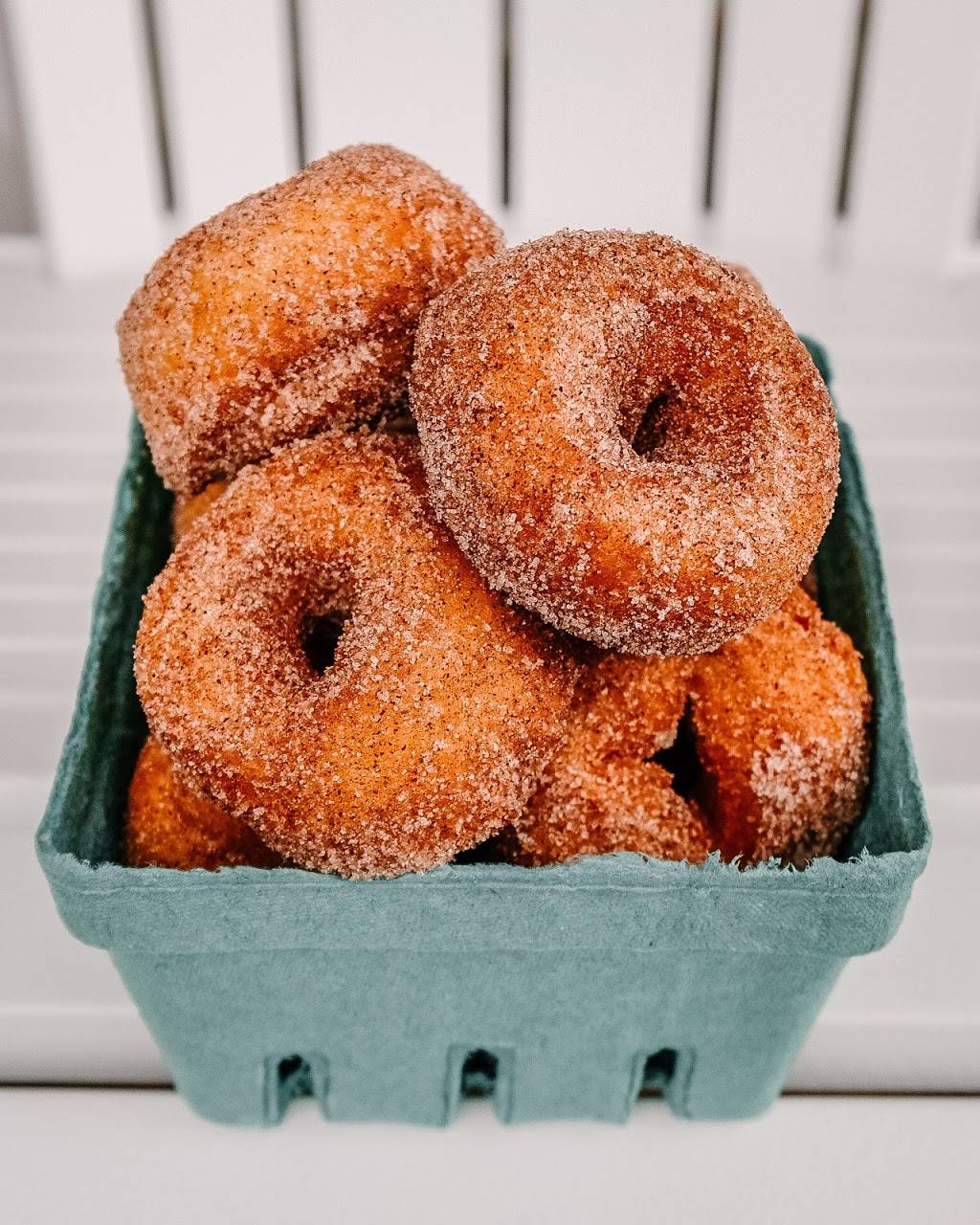 Dune Donuts and Bagels | bakery | 1408 3rd Ave, Spring Lake, NJ 07762, USA | 7323598000 OR +1 732-359-8000