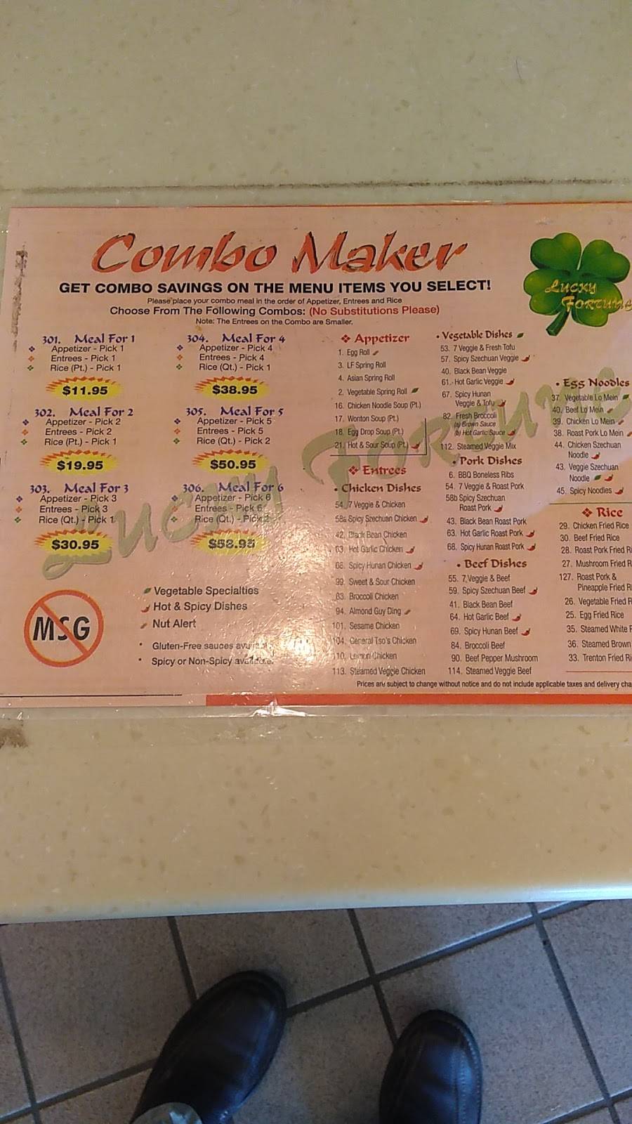 Lucky Fortune | restaurant | 56 Payne Rd, Lebanon, NJ 08833, USA | 9087356060 OR +1 908-735-6060