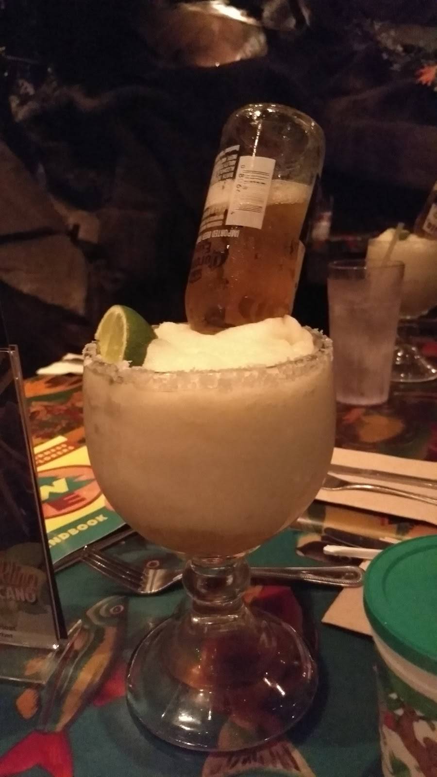 Rainforest Cafe Shop-Animal Kingdom | restaurant | Walt Disney World Resort, Kissimmee, FL 34747, USA | 4079389100 OR +1 407-938-9100