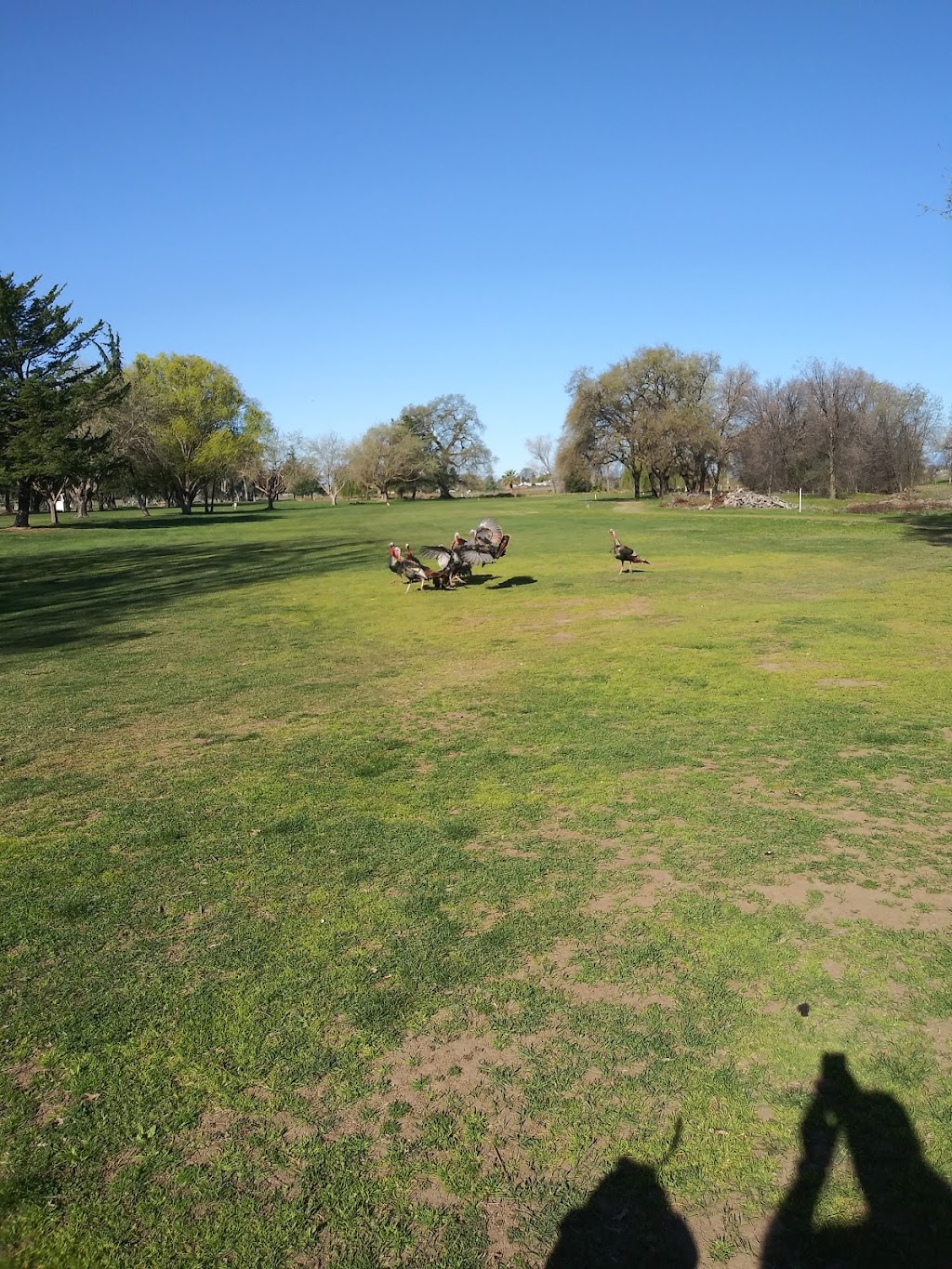 Oak Creek Ranch | restaurant | 2620 Montgomery Rd, Red Bluff, CA 96080, USA | 5306905292 OR +1 530-690-5292