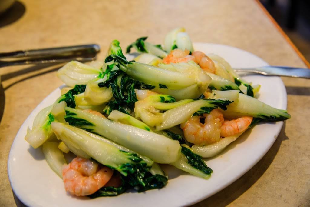 Pine Tree Garden Restaurant | restaurant | 10 Bur Oak Ave, Markham, ON L6C 0A2, Canada | 9058879922 OR +1 905-887-9922