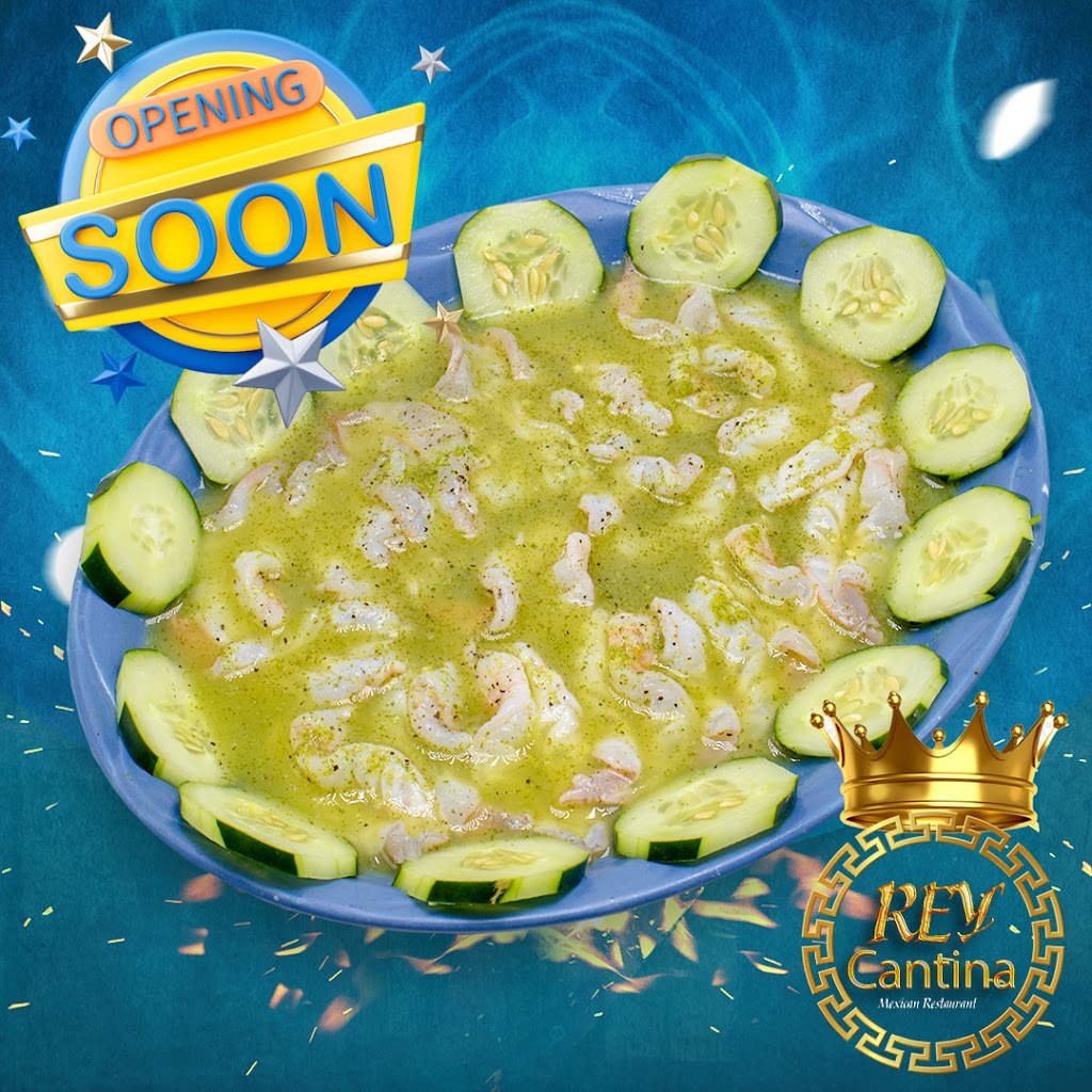 Rey Cantina | restaurant | 55545 US-231, Oneonta, AL 35121, USA | 2564958304 OR +1 256-495-8304