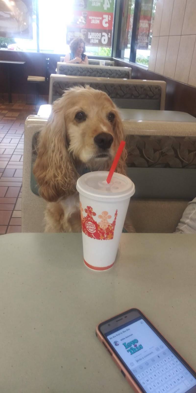 Burger King | restaurant | 9271 N, Tamiami Trail N, Naples, FL 34108, USA | 2395912266 OR +1 239-591-2266