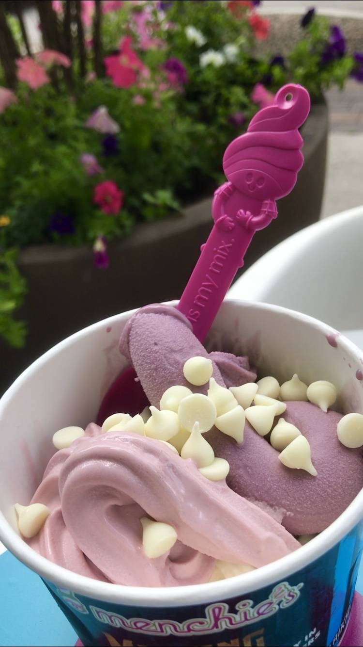 Menchies Frozen Yogurt | bakery | 404 E Central Blvd, Orlando, FL 32801, USA | 4074402843 OR +1 407-440-2843