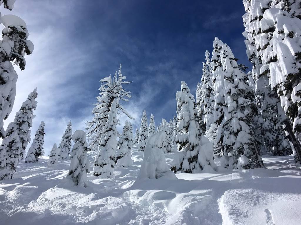 Homewood Mountain Resort | restaurant | 5145 W Lake Blvd, Homewood, CA 96141, USA | 5305252992 OR +1 530-525-2992