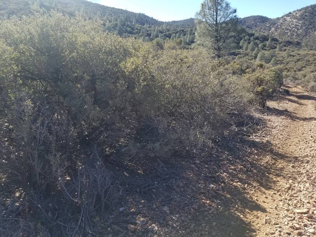 Boulevard Burgers | restaurant | 21718 Ventura Blvd, Woodland Hills, CA 91364, USA | 8187036005 OR +1 818-703-6005