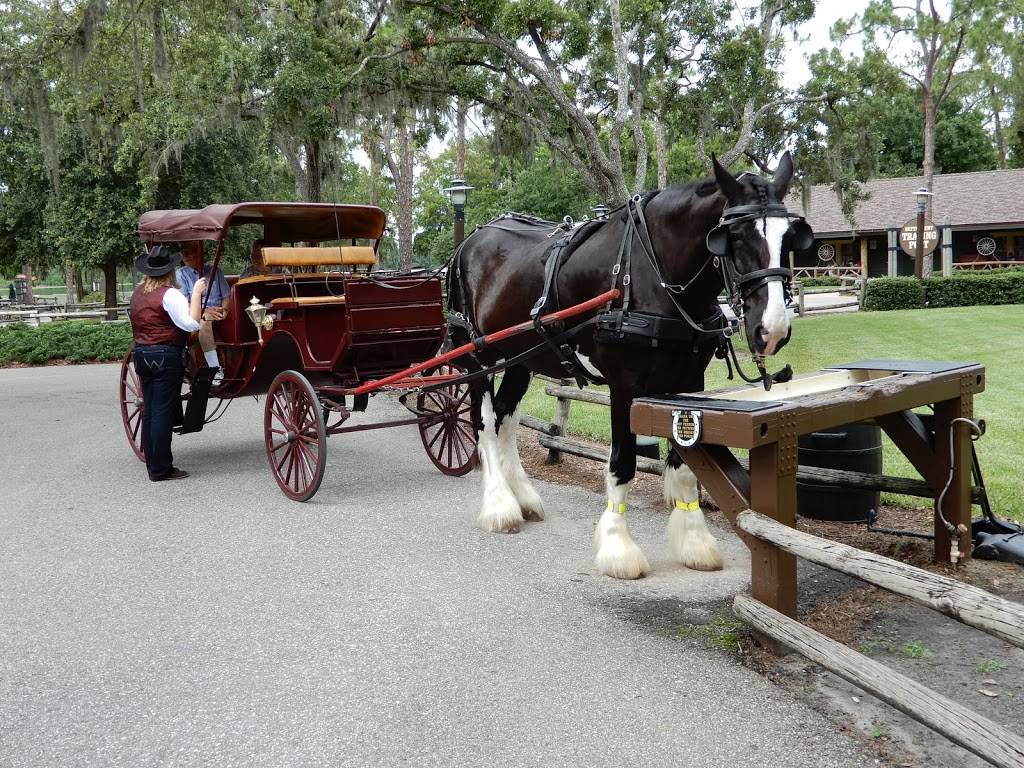 Trails End Restaurant | restaurant | 4510 N Fort Wilderness Trail, Lake Buena Vista, FL 32830, USA | 4079393463 OR +1 407-939-3463