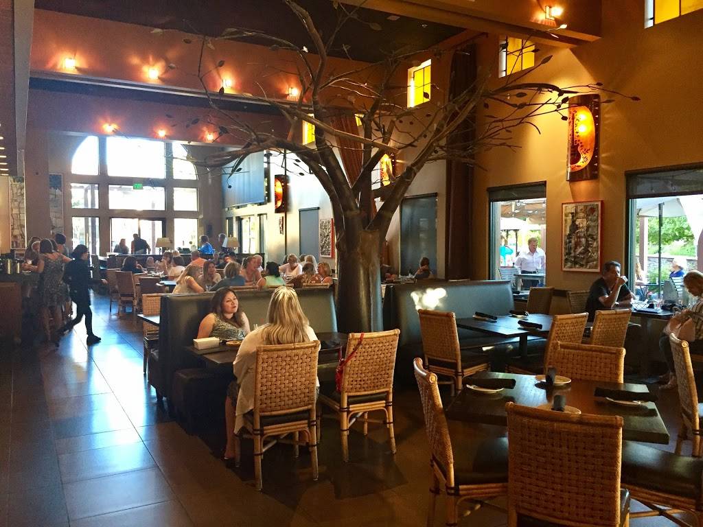 Maria Maria | restaurant | 710 Camino Ramon, Danville, CA 94526, USA | 9258202366 OR +1 925-820-2366