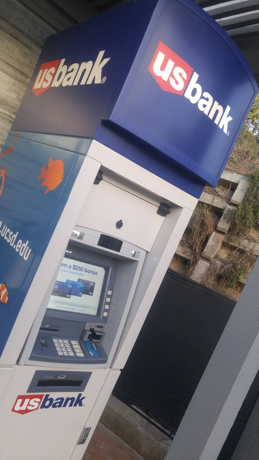 Splash Cafe French Gourmet | restaurant | 2300 Expedition Way, La Jolla, CA 92037, USA | 8584881725 OR +1 858-488-1725