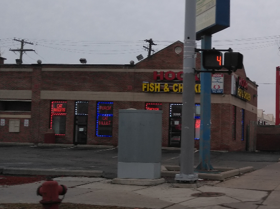 Hook Fresh Fish & Chicken | restaurant | 9200 Dexter Ave, Detroit, MI 48206, USA | 3138977445 OR +1 313-897-7445