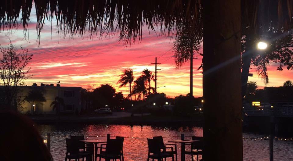 Brew Fish Bar and Grill | restaurant | 200 E McNab Rd, Pompano Beach, FL 33060, USA | 9544403347 OR +1 954-440-3347