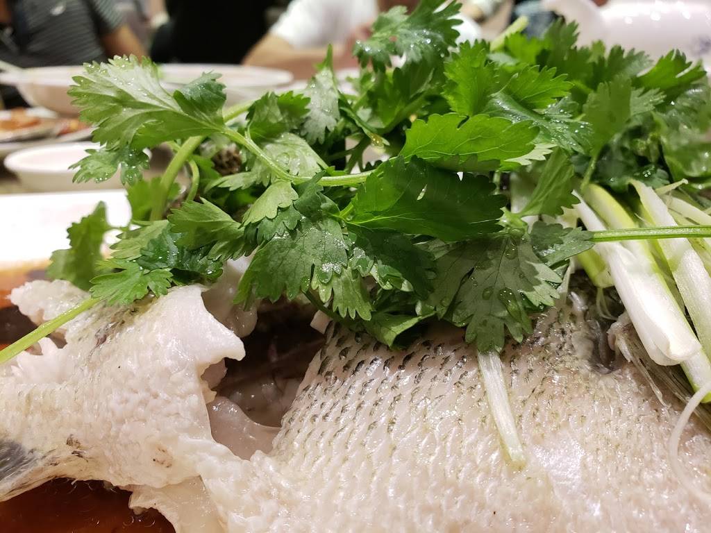 美食坊Fusion Delight | restaurant | 699 Lewelling Blvd #212, San Leandro, CA 94579, USA | 5108951818 OR +1 510-895-1818