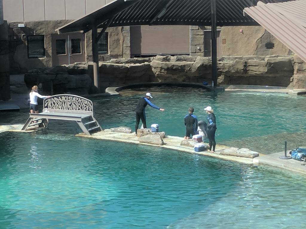 Views | restaurant | Salt River,, Scottsdale, AZ 85250, USA | 4802916570 OR +1 480-291-6570