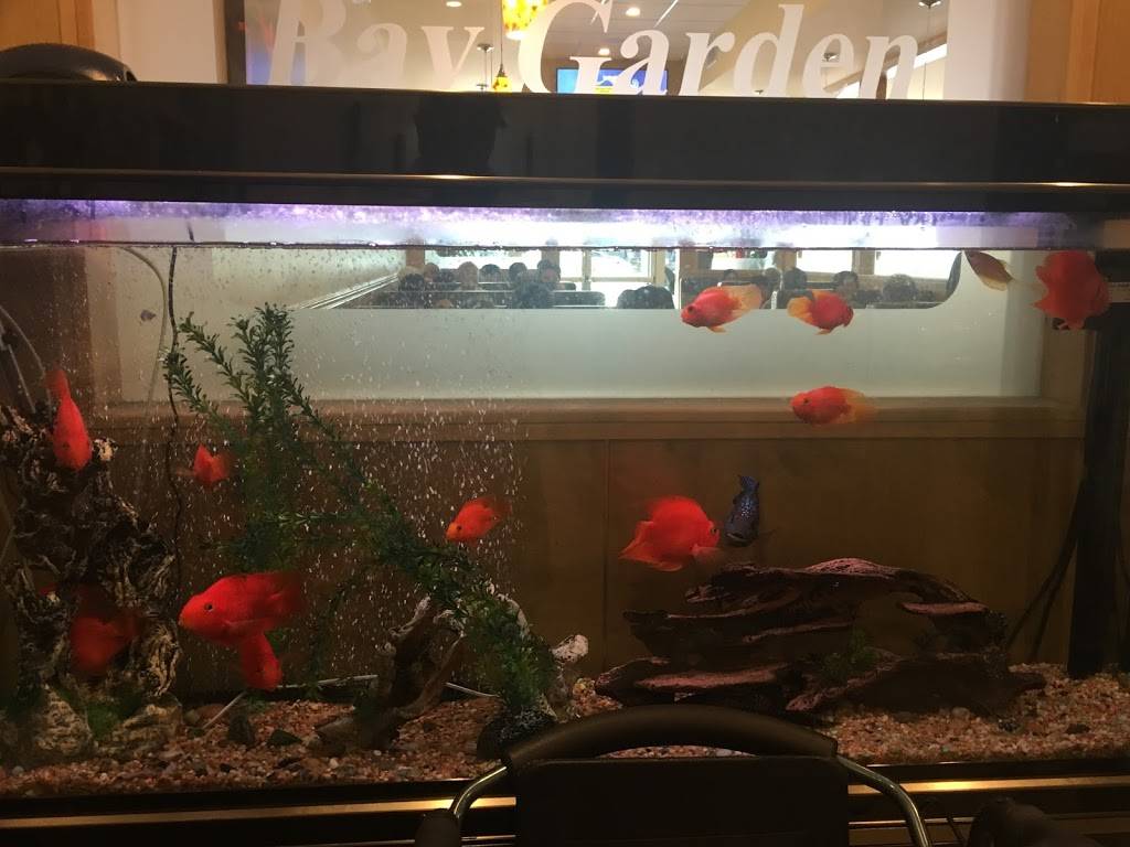Bay Garden Cafe | restaurant | 9549 Las Tunas Dr, Temple City, CA 91780, USA | 6262852828 OR +1 626-285-2828