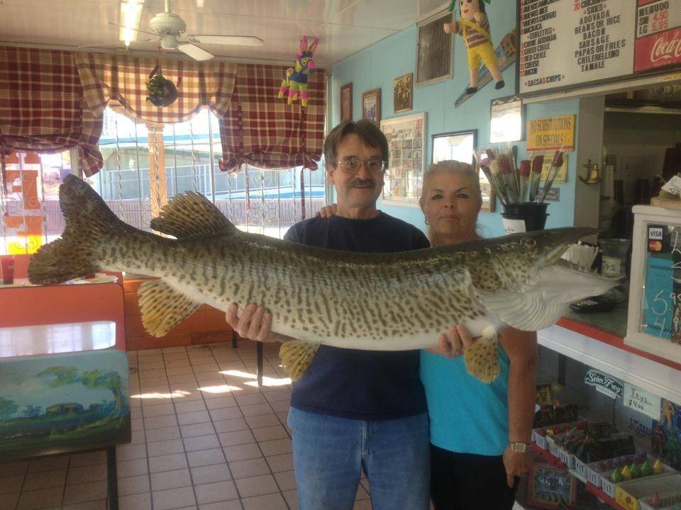 El Sabor De Juarez | cafe | 3527 Gibson Blvd SE, Albuquerque, NM 87106, USA | 5052653338 OR +1 505-265-3338