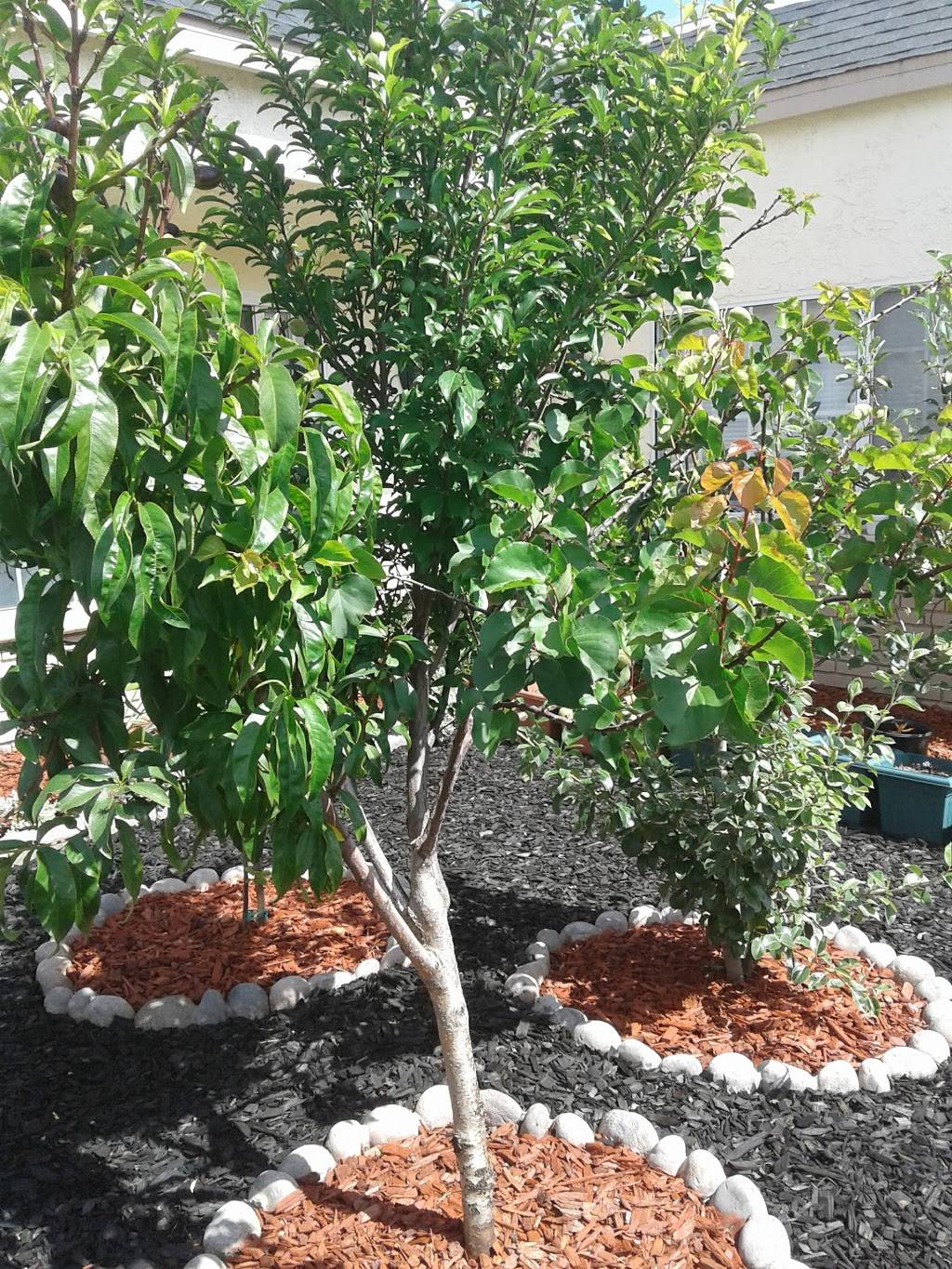 DAIRY MARKET RESTAURANT | restaurant | 5450 Dairy Ave, Long Beach, CA 90805, USA | 5629848541 OR +1 562-984-8541