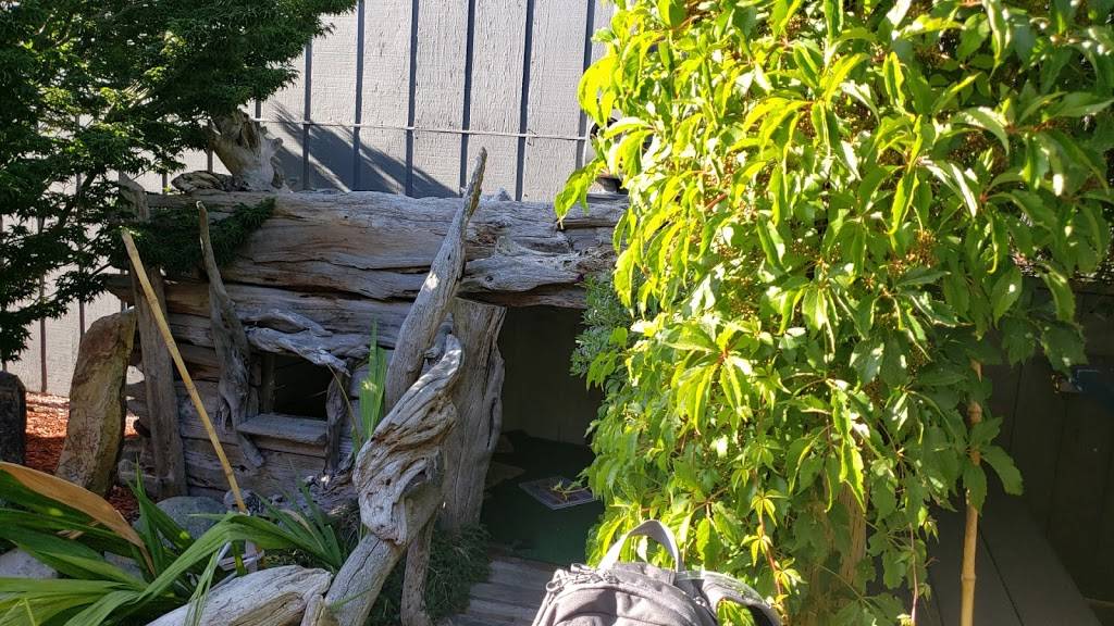 Van Gos Pizza | restaurant | 180 Web St, Friday Harbor, WA 98250, USA | 3603780138 OR +1 360-378-0138