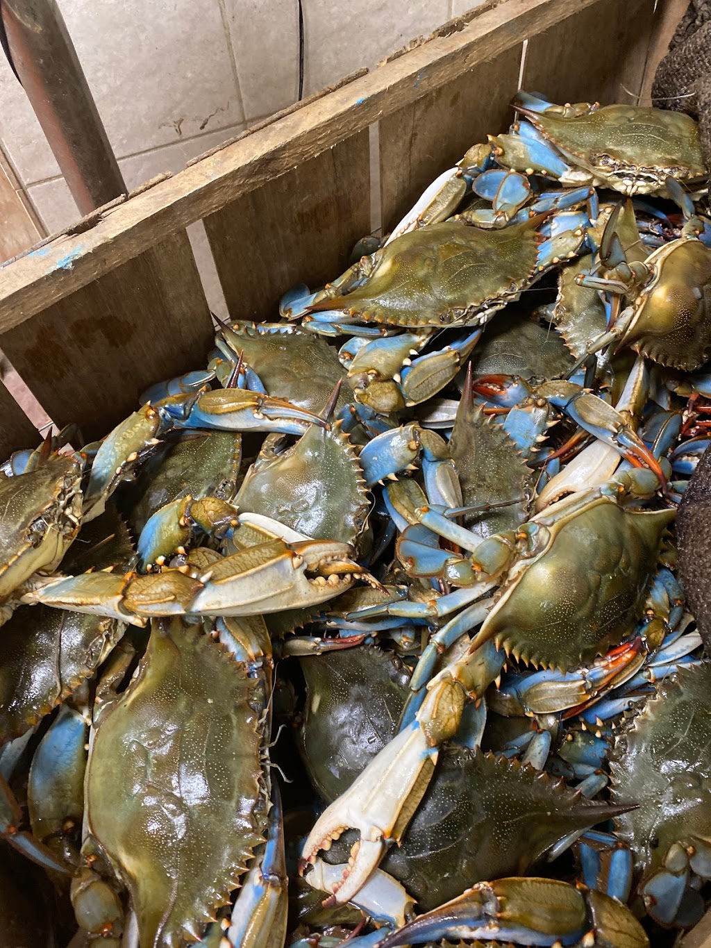 L&T Seafood Market | restaurant | 8710 Pensacola Blvd, Pensacola, FL 32534, USA | 8504947070 OR +1 850-494-7070