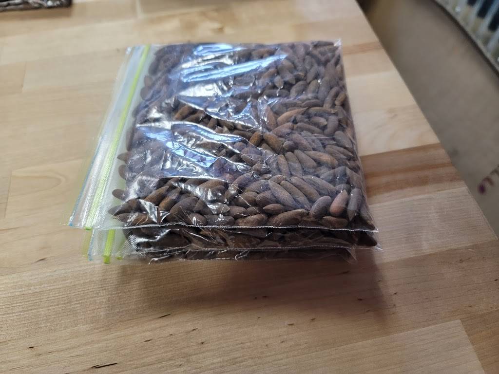 MADINA GROCERY AND HALAL MEAT | restaurant | 23 S Washington Ave, Bergenfield, NJ 07621, USA | 2013679355 OR +1 201-367-9355