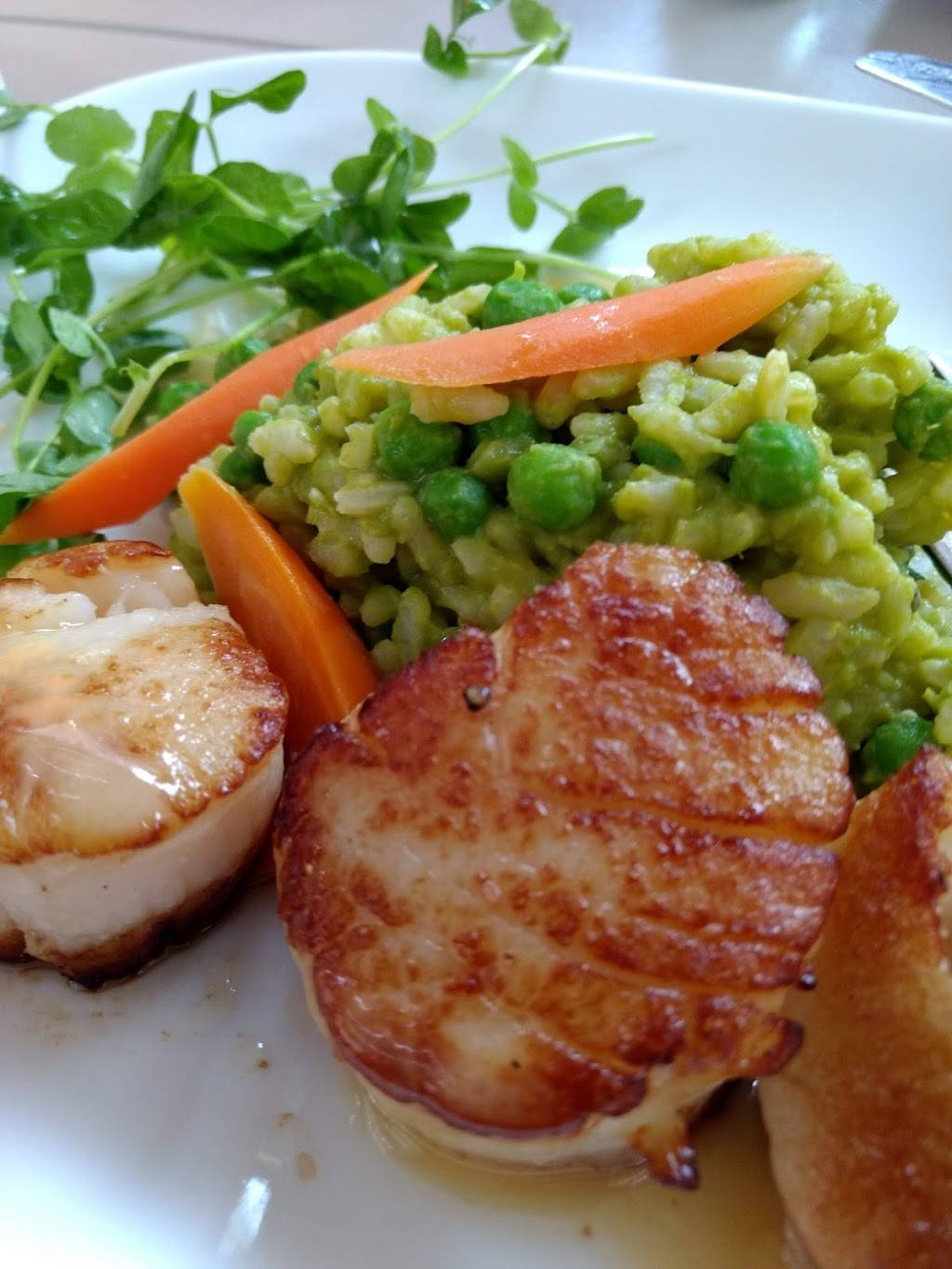 Tarks Grill | restaurant | 2360 W Joppa Rd #116, Lutherville-Timonium, MD 21093, USA | 4105838275 OR +1 410-583-8275