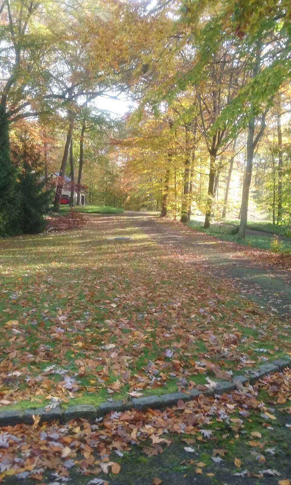 peter the greek house number | restaurant | 456 Cheese Spring Rd, New Canaan, CT 06840, USA | 2035243587 OR +1 203-524-3587