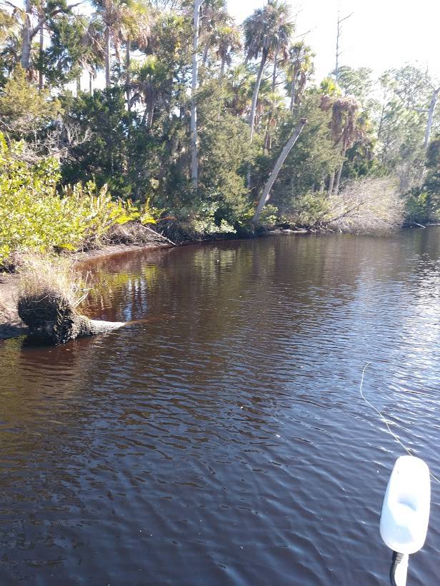 Tomoka Outpost | night club | 2099 N Beach St, Ormond Beach, FL 32174, USA | 3866730022 OR +1 386-673-0022