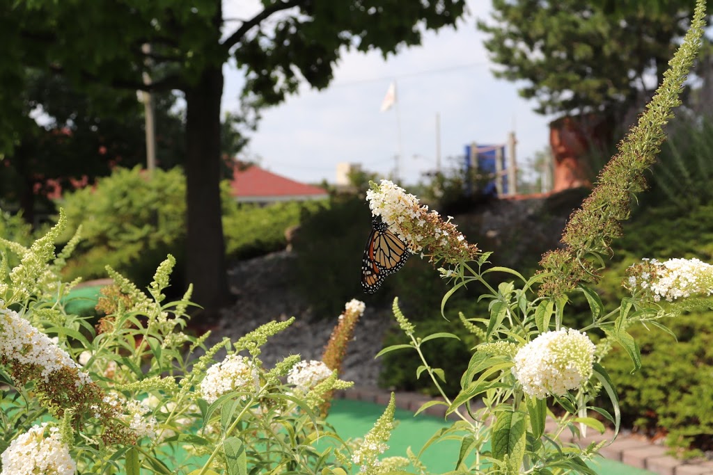 Buoy 18 Miniature Golf and Ice Cream | meal takeaway | 960 E Midland St, Bay City, MI 48706, USA | 9898910700 OR +1 989-891-0700