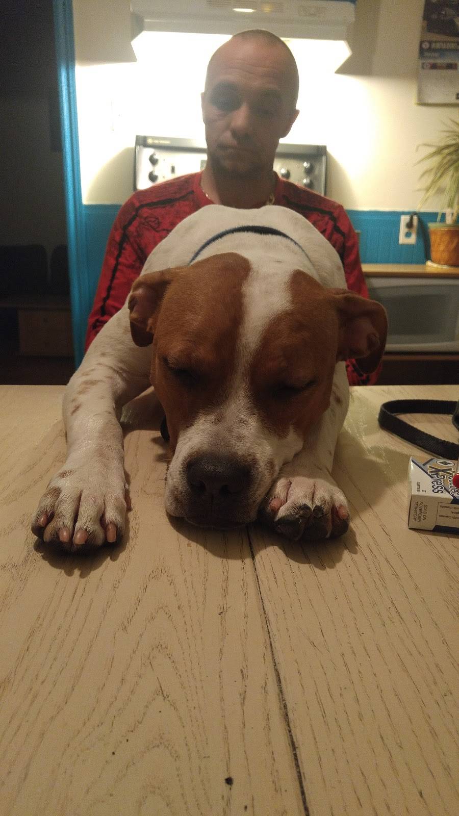 Restaurant La Belle Province | restaurant | 2690 Rue Dessaulles, Saint-Hyacinthe, QC J2S 2V5, Canada | 4502610120 OR +1 450-261-0120