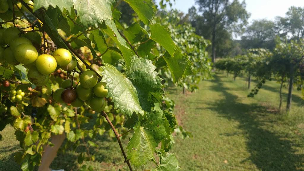 Gregory Vineyards | restaurant | 275 Bowling Spring Dr, Angier, NC 27501, USA | 9198947700 OR +1 919-894-7700