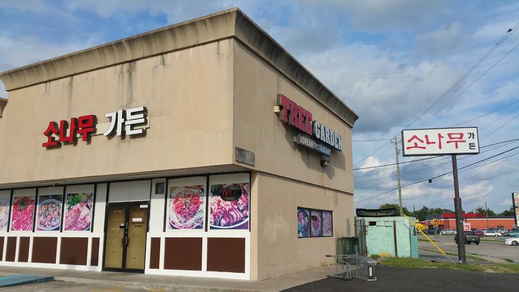 Tree | restaurant | 9504 Long Point Rd, Houston, TX 77055, USA | 8327676818 OR +1 832-767-6818