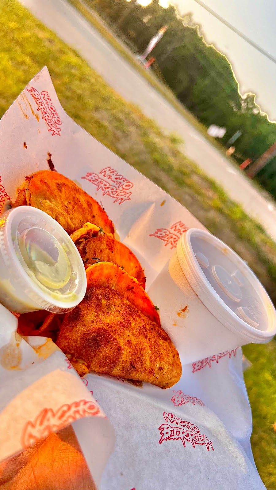 Nacho Birria | restaurant | 12335 FM 1097, Willis, TX 77318, USA | 8329639734 OR +1 832-963-9734