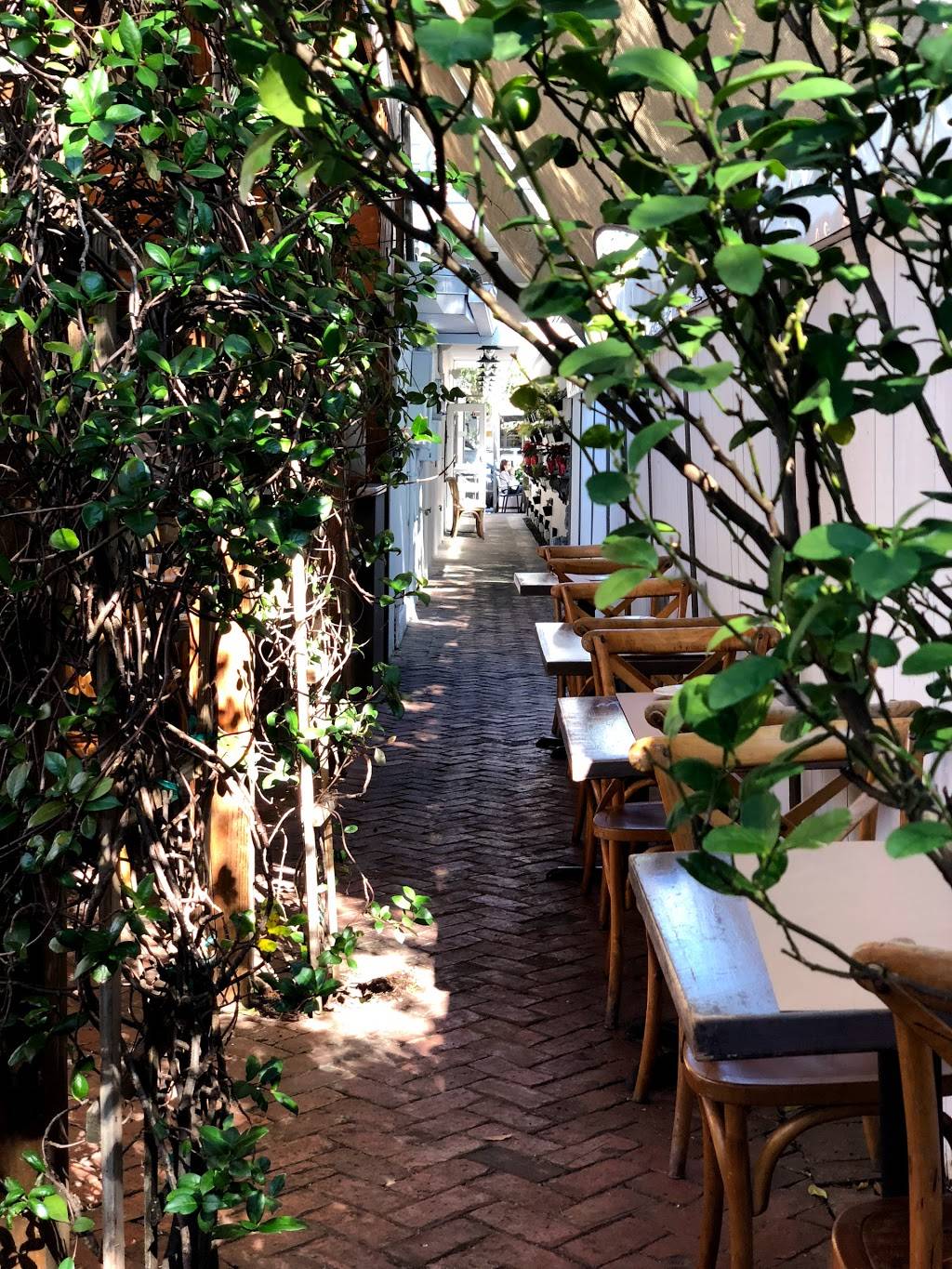 Strada in the Grove | restaurant | 3176 Commodore Plaza, Miami, FL 33133, USA | 3054441312 OR +1 305-444-1312