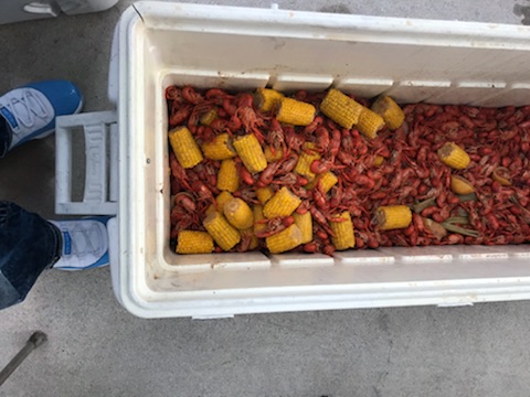 NOLA Daiquiris: Wings & Things | restaurant | 18311 Clay Rd a11, Houston, TX 77084, USA | 8326747060 OR +1 832-674-7060