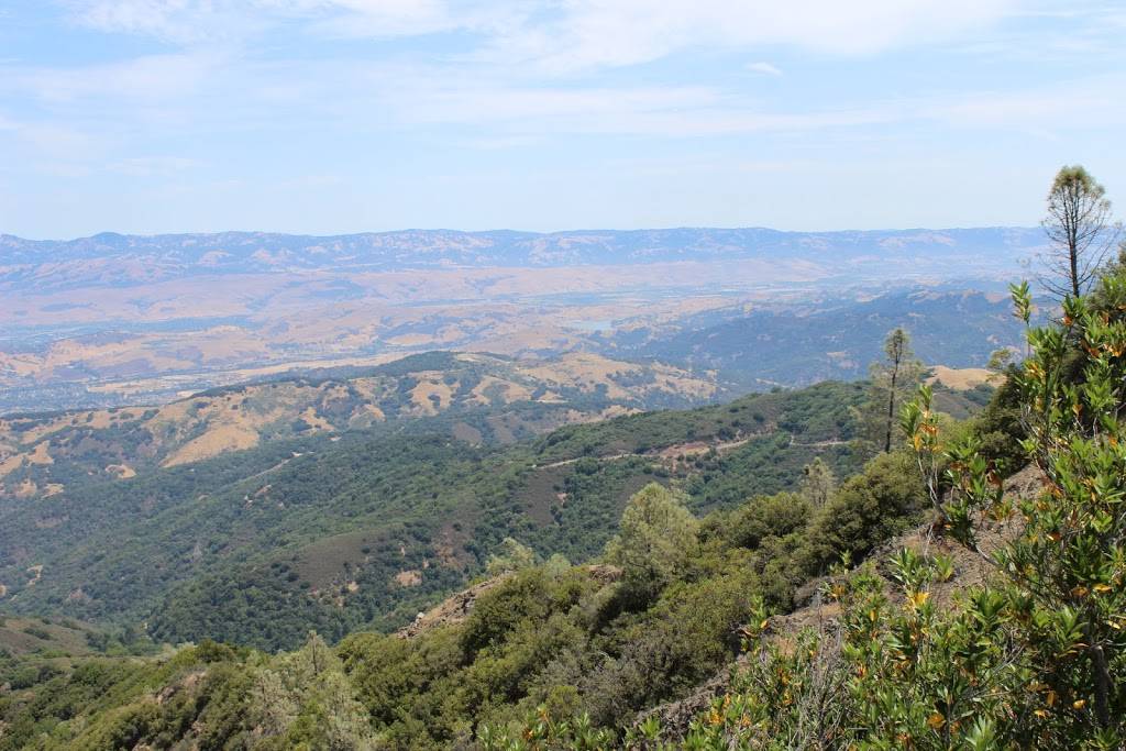 Subway Restaurants | restaurant | 21682 Stevens Creek Blvd, Cupertino, CA 95014, USA | 4087259900 OR +1 408-725-9900