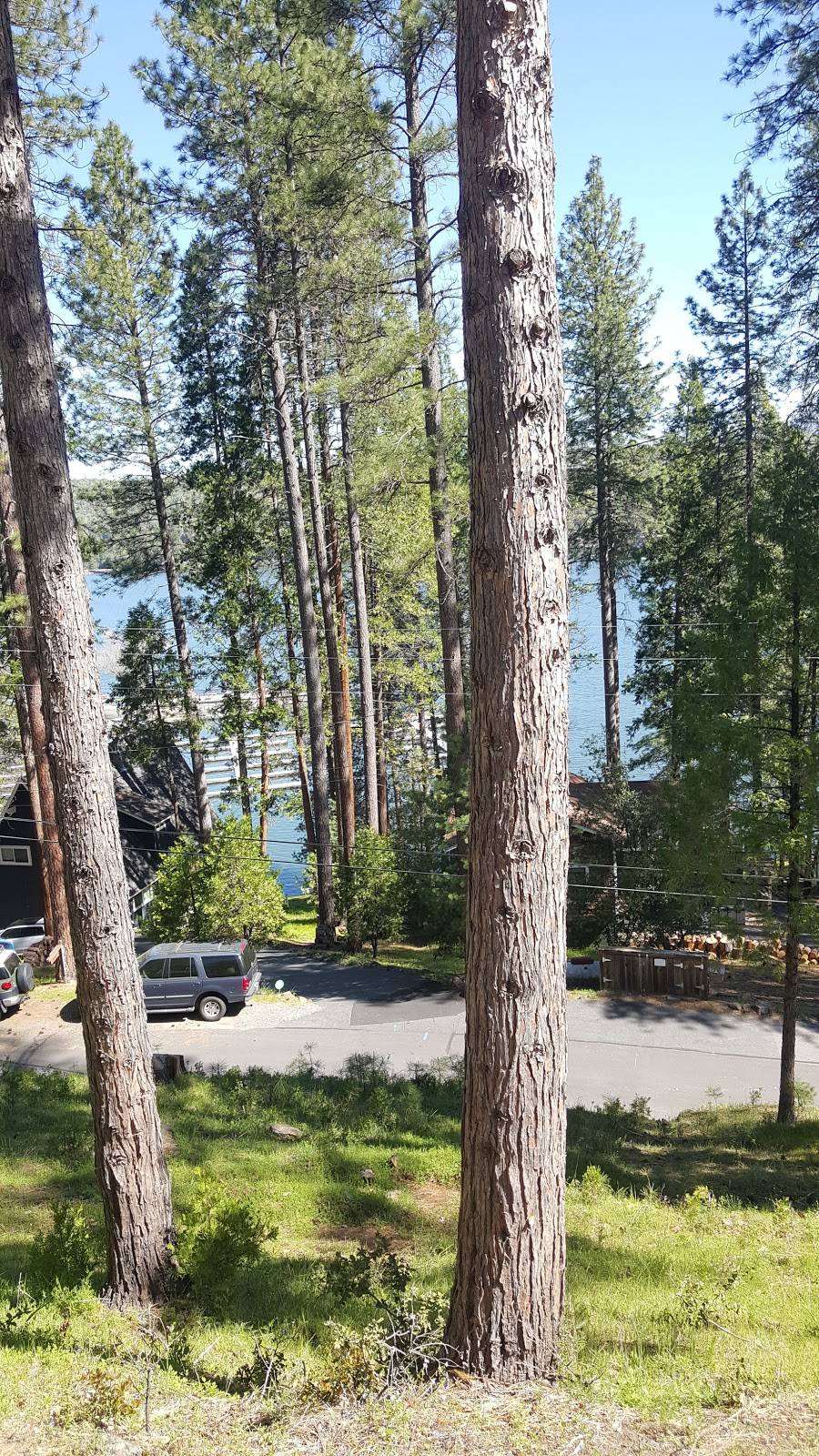 Pine Mountain Lake Lakeside Cafe At The Marina | restaurant | 901102500, Groveland, CA 95321, USA | 2099628630 OR +1 209-962-8630