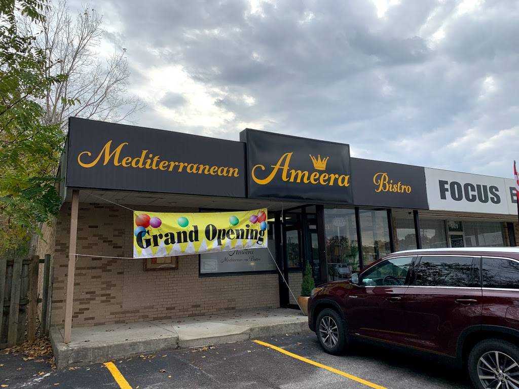 Ameera Mediterranean Bistro | restaurant | 5127 Main St, Sylvania, OH 43560, USA | 4195179999 OR +1 419-517-9999