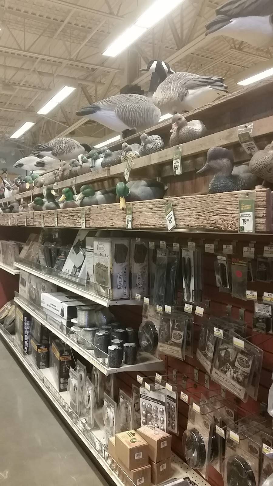 Islamorada Fish Company | restaurant | 709 Janes Ave, Bolingbrook, IL 60440, USA | 6302962600 OR +1 630-296-2600