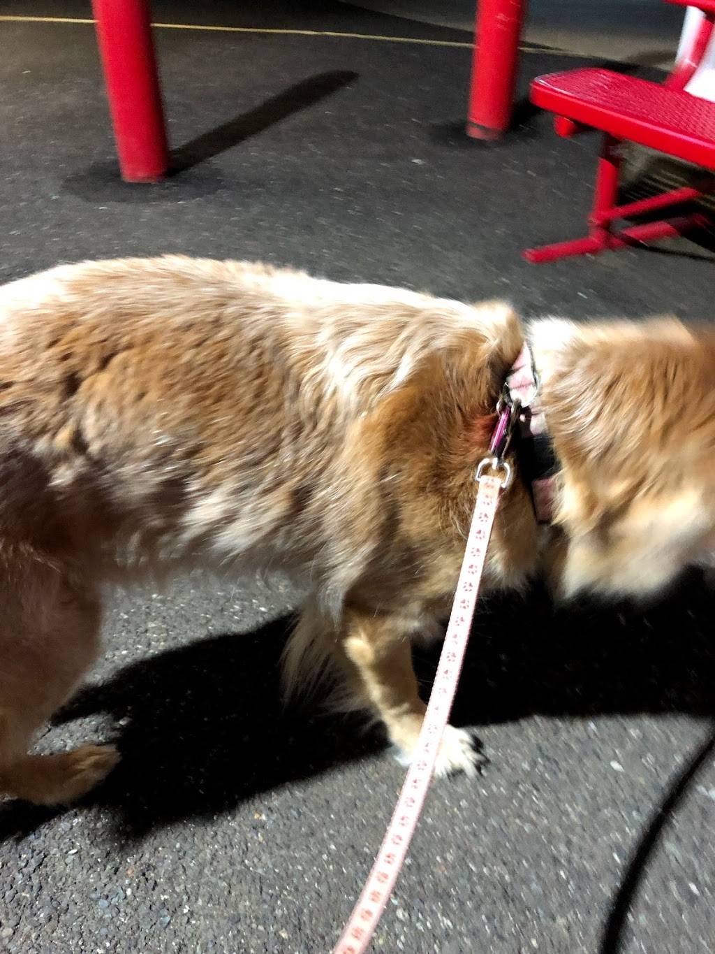 Ritas Italian Ice & Frozen Custard | restaurant | 323 E Gay St, West Chester, PA 19380, USA | 6107389090 OR +1 610-738-9090