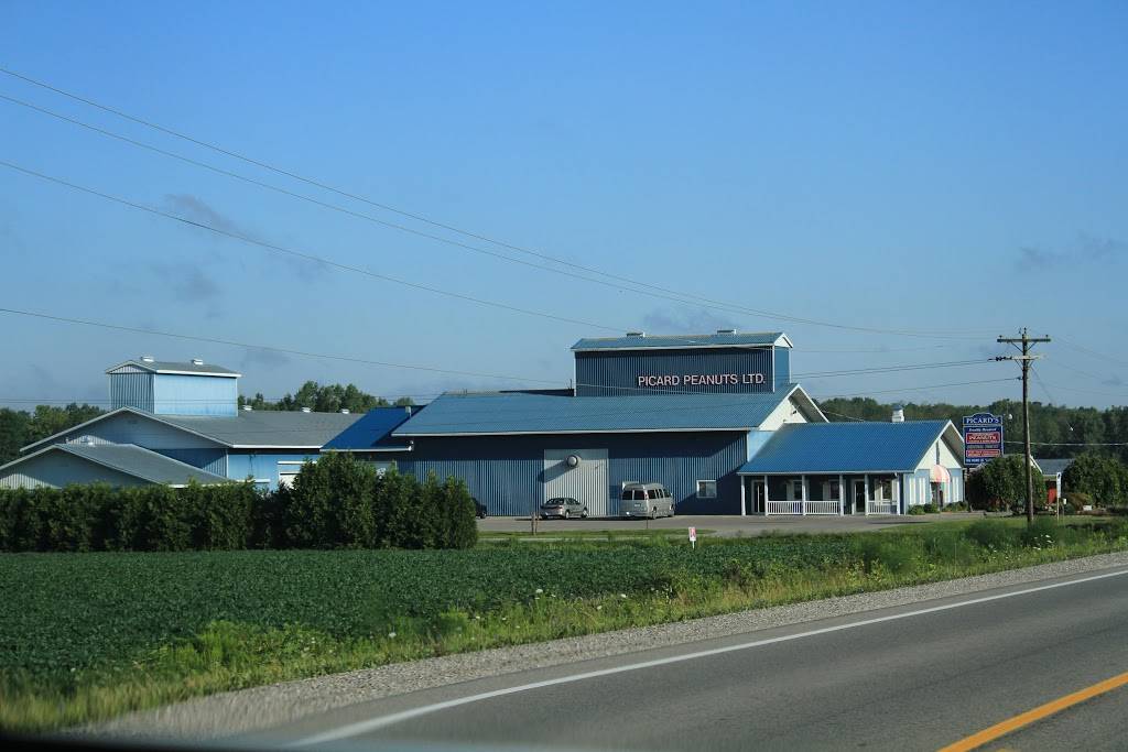 Picards Peanuts | restaurant | 2850 ON-24, St Williams, ON N0E 1P0, Canada | 5194266700 OR +1 519-426-6700