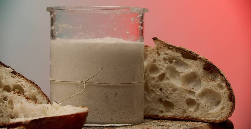 ATRIA Cafe | cafe | 4120 Lakewood Ranch Blvd, Lakewood Ranch, FL 34211, USA | 9417802969 OR +1 941-780-2969