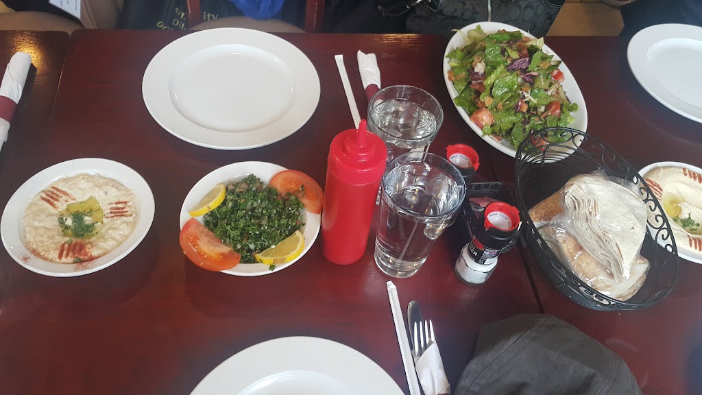 Byblos Cafe & Grill | restaurant | 87 W Palmer Ave, Detroit, MI 48202, USA | 3133030272 OR +1 313-303-0272