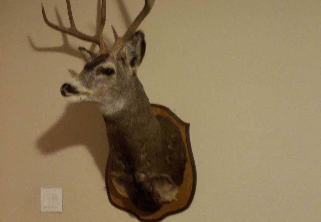 Chipotle Mexican Grill | restaurant | 6450 N Desert Blvd # I104, El Paso, TX 79912, USA | 9158758271 OR +1 915-875-8271