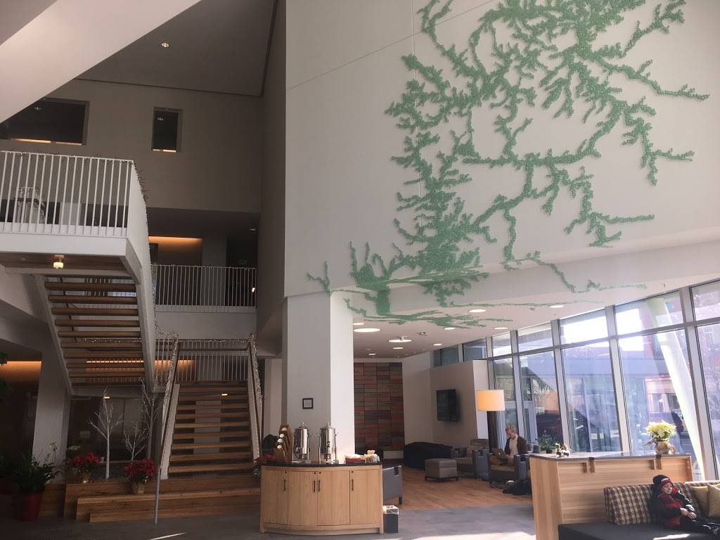 1833 Restaurant At The Hotel At Oberlin | restaurant | 1613, 10 E College St unit b, Oberlin, OH 44074, USA | 4407757001 OR +1 440-775-7001