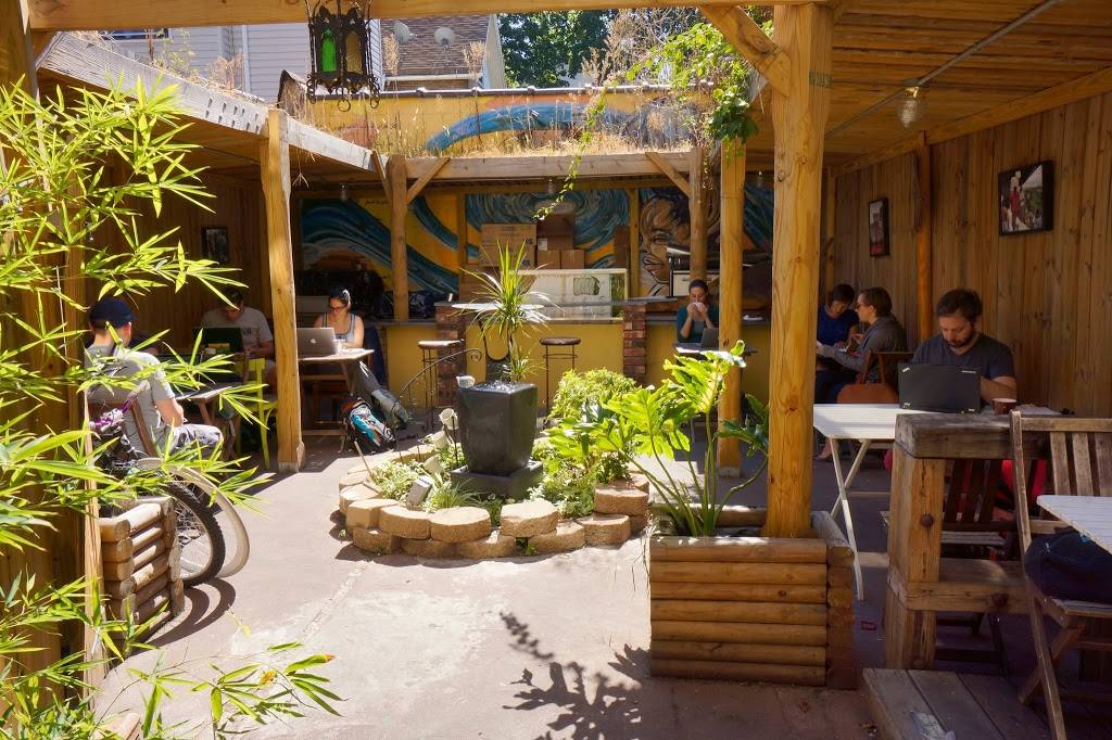 Qathra Cafe | cafe | 1112 Cortelyou Rd, Brooklyn, NY 11218, USA | 3473053250 OR +1 347-305-3250