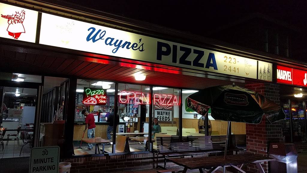 Waynes Pizza | restaurant | 34197 US-45, Third Lake, IL 60030, USA | 8472232441 OR +1 847-223-2441